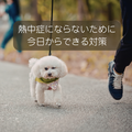 犬の異変に気付くために~今日から始める熱中症予防