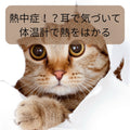 🐱猫の異常に気付くために~熱中症かも?耳で気づいて熱をはかる