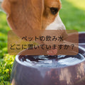 🐶🐱💧ペットの飲み水、飲みやすい場所に置いてますか