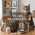🐱⛑️猫と防災~その一枚が役立つかもしれません