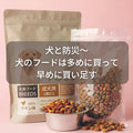 🐶⛑️犬と防災~犬のフードは多めに飼って早めに買い足す