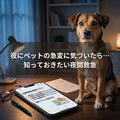 🐶🐱夜にペットの急変に気づいたら…知っておきたい夜間救急