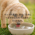 🐶🐱ペットの異変に気付くために~スマホに入れておきたい5つのもの