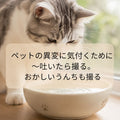 🐱🐶ペットの異変に気付くために~寝る場所が変わった