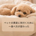 🐱🐶ペットの異変に気付くために~食べ方が変わった