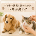 🐱🐶👂ペットの異変に気付くために~耳が臭い?