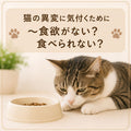 🐱猫の異変に気付くために~食欲がない?食べられない?