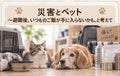 🐱🐶⛑️災害とペット~避難後、いつものご飯が手に入らないかも、と考えて