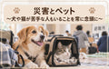 🐶🐱⛑️災害とペット~犬や猫が苦手な人もいること常に念頭に