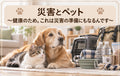 🐶🐱⛑️災害とペット~健康のため。これは災害の準備にもなるんです