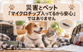 🐶🐱⛑️災害とペット~マイクロチップ入ってるから安心、ではありません