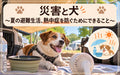 🐶🚗⛑️災害と犬~夏の避難生活、熱中症を防ぐためにできること