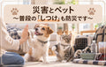 🐶🐱⛑️災害とペット~普段の「しつけ」も防災です