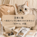 🐶⛑️災害と猫~防災バッグに絶対入れておきたい『おやつ』の話