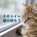 猫の異変に気付くために~そのトイレ猫好み?