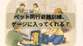 ペット、保存水～災害とペット～ペット同行避難訓練に行ってみた。犬や猫、ゲージに入る？