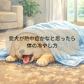 災害と犬～愛犬が熱中症かなと思ったら。体の冷やし方