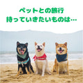 🐶🐱💧ペットとの旅行。楽しいけれど気を付けたいこと