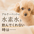 🐱🐶💧アルケーペットの水素水を飲まない時は？