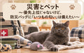 🐶🐱⛑️災害とペット～優先上位じゃないけど、防災バッグに「いつもの匂い」は備えたい