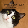 🐱猫の異常に気付くために～熱中症にならないための習慣づくり