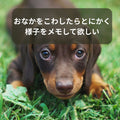🐶🐱ペットの異常に気付くために～おなかをこわしたらとにかくメモして