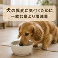 🐶犬の異変に気付くために～飲む量より増減量