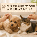 🐶🐱ペットの異変に気付くために～耳が熱い？冷たい？