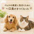 🐶🐱ペットの異変に気付くために～口臭がきつくなった