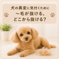 🐶犬の異変に気付くために～毛が抜ける。どこから抜ける？