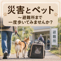 🐶🐱⛑️ 災害とペット～避難所まで一度歩いてみませんか？
