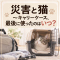 🐱⛑️災害と猫～キャリーケース、最後に使ったのはいつ？