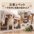 🐱🐶⛑️災害とペット～不在中に地震が起きたら？