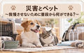🐶🐱⛑️災害とペット～トイレ我慢させないために普段から何ができる？