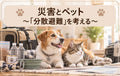 🐶🐱⛑️災害とペット～「分散避難」を考える