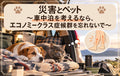 🐶🐱🚗⛑️災害とペット～車中泊を考えるなら、エコノミークラス症候群対策忘れないで