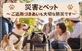🐶🐱⛑️災害とペット～ご近所づきあいも大切な防災です