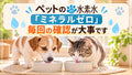 🐶🐱💧ペットの水素水～ミネラルゼロ。本当に毎回確認しているの？