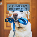 🐶犬の異変に気付くために～いろいろあります熱中症の対策グッズ