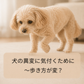 🐶犬の異変に気付くために～歩き方が変？