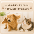 🐱🐶👂ペットの異変に気付くために～頭をよく振っていませんか？