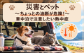 🐶🐱🚗⛑️災害とペット～ちょっとの油断が危険！車中泊で注意したい熱中症