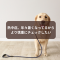 犬の異変に気付くために～熱中症の危険サイン