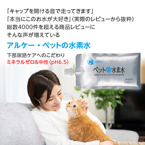 Arkhe アルケー ペットの水素水 -Progress-  550mL×20本