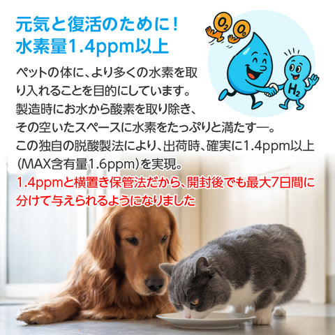 Arkhe アルケー ペットの水素水 -Progress-  550mL×20本