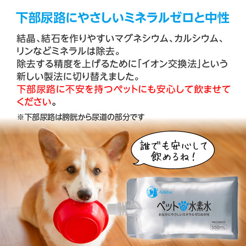 Arkhe アルケー ペットの水素水 -Progress-  550mL×20本
