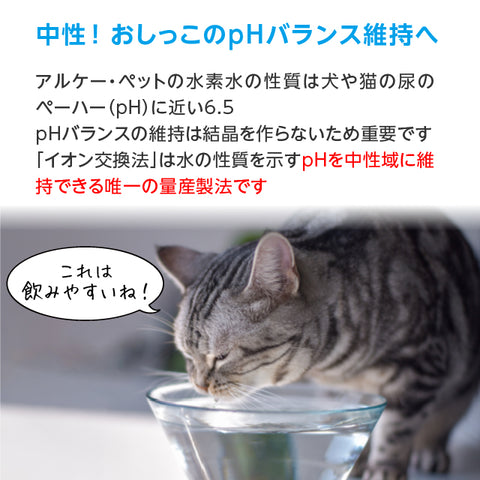 Arkhe アルケー ペットの水素水 -Progress-  550mL×20本