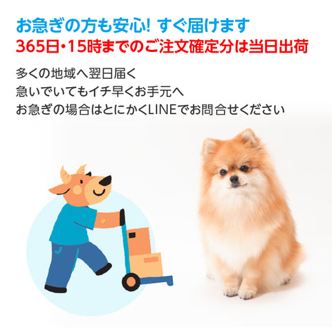 Arkhe アルケー ペットの水素水 -Progress-  550mL×20本