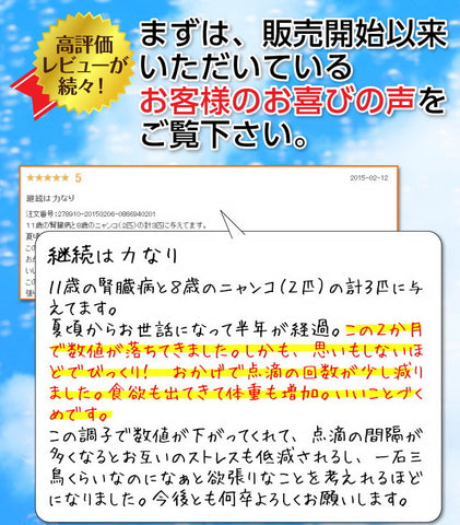 Arkhe アルケー ペットの水素水 -Progress-  220mL×10本